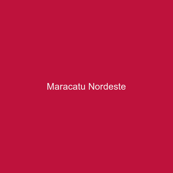 Maracatu Nordeste
