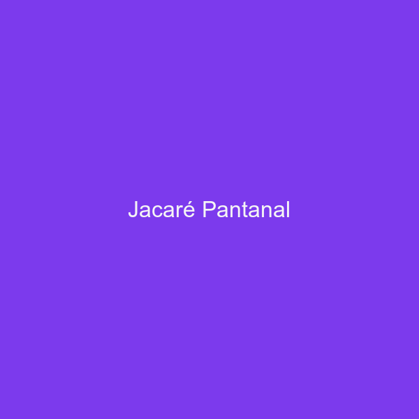 Jacaré Pantanal